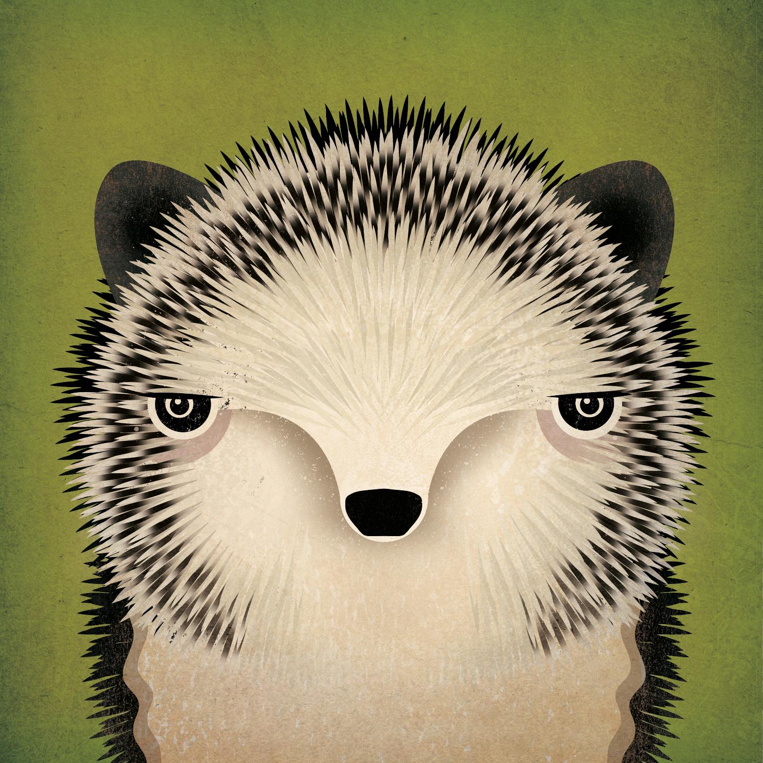 Baby Hedgehog de Ryan Fowler sur GIANT ART - animaux beiges