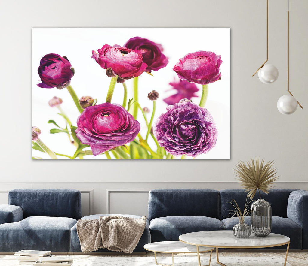 Spring Ranunculus III by Laura Marshall on GIANT ART - green floral