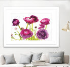 Spring Ranunculus III by Laura Marshall on GIANT ART - green floral