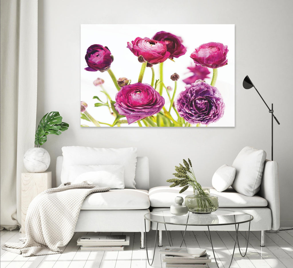 Spring Ranunculus III by Laura Marshall on GIANT ART - green floral