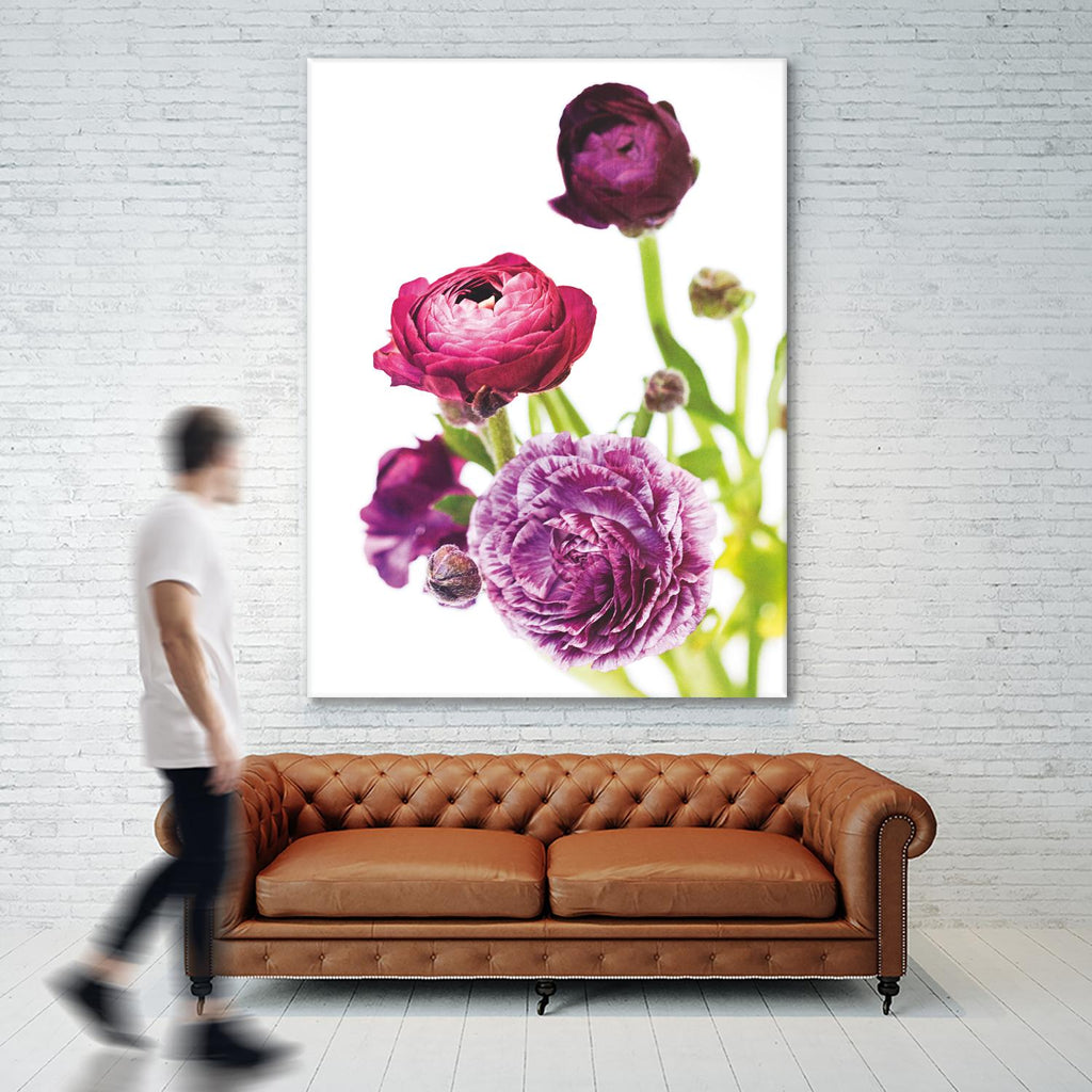 Spring Ranunculus VI by Laura Marshall on GIANT ART - green floral