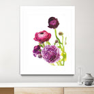Spring Ranunculus VI by Laura Marshall on GIANT ART - green floral