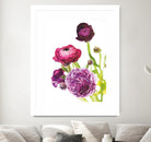 Spring Ranunculus VI by Laura Marshall on GIANT ART - green floral