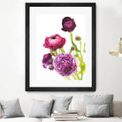 Spring Ranunculus VI by Laura Marshall on GIANT ART - green floral
