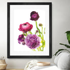 Spring Ranunculus VI by Laura Marshall on GIANT ART - green floral