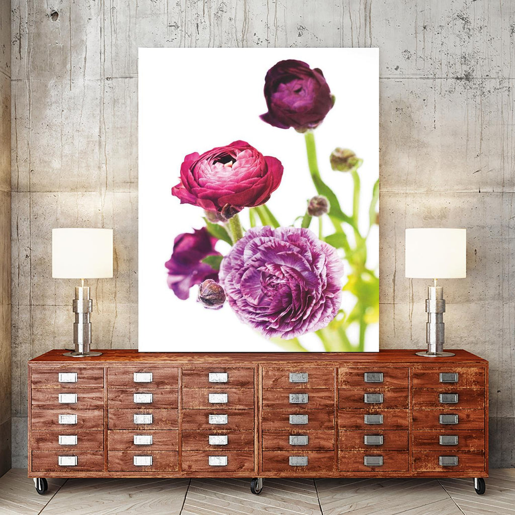 Spring Ranunculus VI by Laura Marshall on GIANT ART - green floral