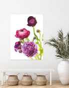 Spring Ranunculus VI by Laura Marshall on GIANT ART - green floral