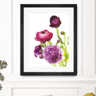 Spring Ranunculus VI by Laura Marshall on GIANT ART - green floral