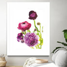 Spring Ranunculus VI by Laura Marshall on GIANT ART - green floral