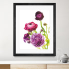Spring Ranunculus VI by Laura Marshall on GIANT ART - green floral