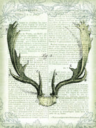 Regal Antlers on Newsprint II by Sue Schlabach on GIANT ART - brown country look