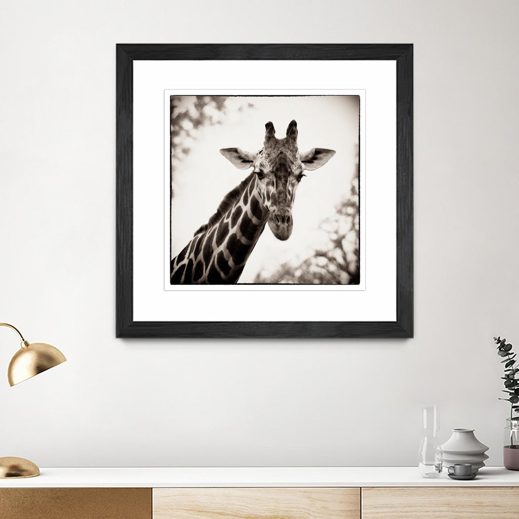Girafe I par Debra Van Swearingen sur GIANT ART - animaux gris