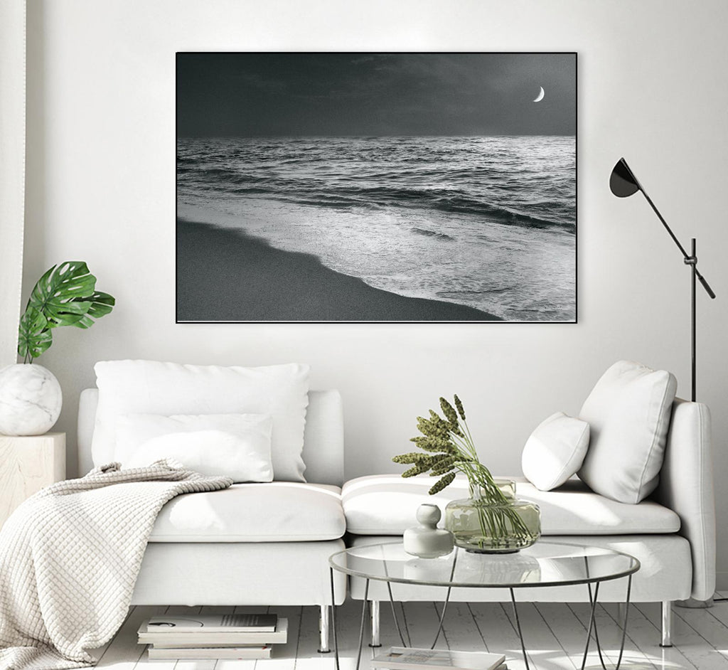 Moonrise Beach Black and White by Sue Schlabach on GIANT ART - white sea scene