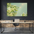 Spring Beauty I by Sue Schlabach on GIANT ART - white floral