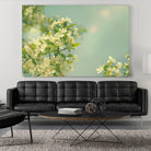 Spring Beauty I by Sue Schlabach on GIANT ART - white floral