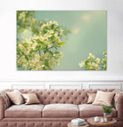 Spring Beauty I by Sue Schlabach on GIANT ART - white floral