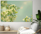 Spring Beauty I by Sue Schlabach on GIANT ART - white floral