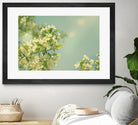 Spring Beauty I by Sue Schlabach on GIANT ART - white floral