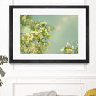 Spring Beauty I by Sue Schlabach on GIANT ART - white floral