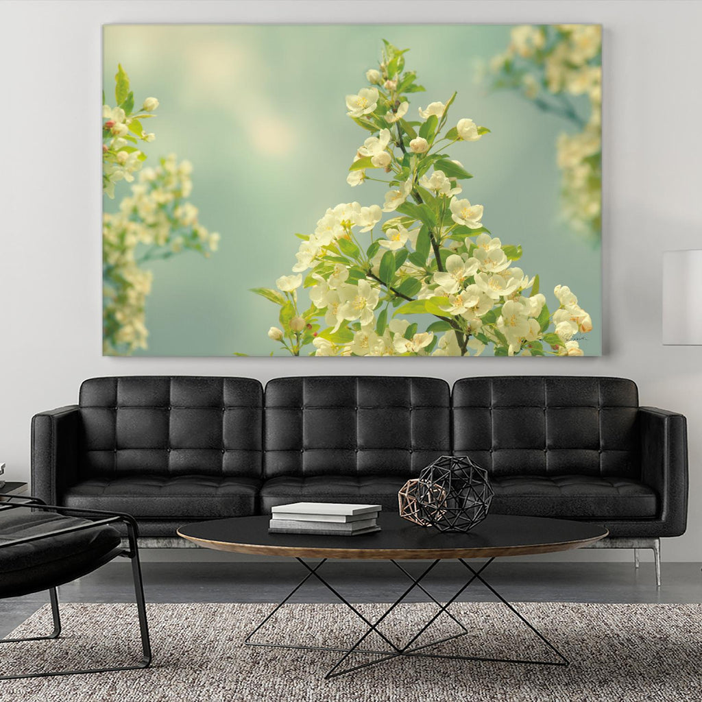 Spring Beauty II by Sue Schlabach on GIANT ART - white floral