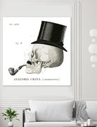 Dandy Bones II by Sue Schlabach on GIANT ART - white vintage