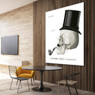 Dandy Bones II by Sue Schlabach on GIANT ART - white vintage