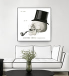 Dandy Bones II by Sue Schlabach on GIANT ART - white vintage