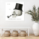 Dandy Bones II by Sue Schlabach on GIANT ART - white vintage