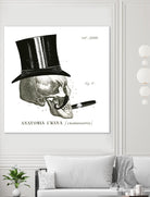 Dandy Bones III by Sue Schlabach on GIANT ART - white vintage