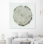 Woodland Years II by Sue Schlabach on GIANT ART - beige trees