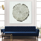 Woodland Years II by Sue Schlabach on GIANT ART - beige trees