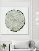 Woodland Years II by Sue Schlabach on GIANT ART - beige trees