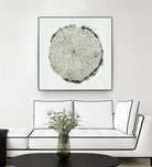 Woodland Years II by Sue Schlabach on GIANT ART - beige trees