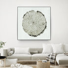 Woodland Years II by Sue Schlabach on GIANT ART - beige trees