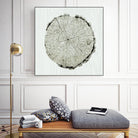 Woodland Years II by Sue Schlabach on GIANT ART - beige trees