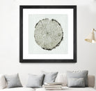 Woodland Years II by Sue Schlabach on GIANT ART - beige trees