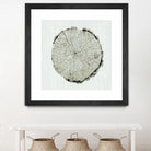 Woodland Years II by Sue Schlabach on GIANT ART - beige trees