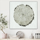 Woodland Years II by Sue Schlabach on GIANT ART - beige trees