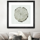 Woodland Years II by Sue Schlabach on GIANT ART - beige trees