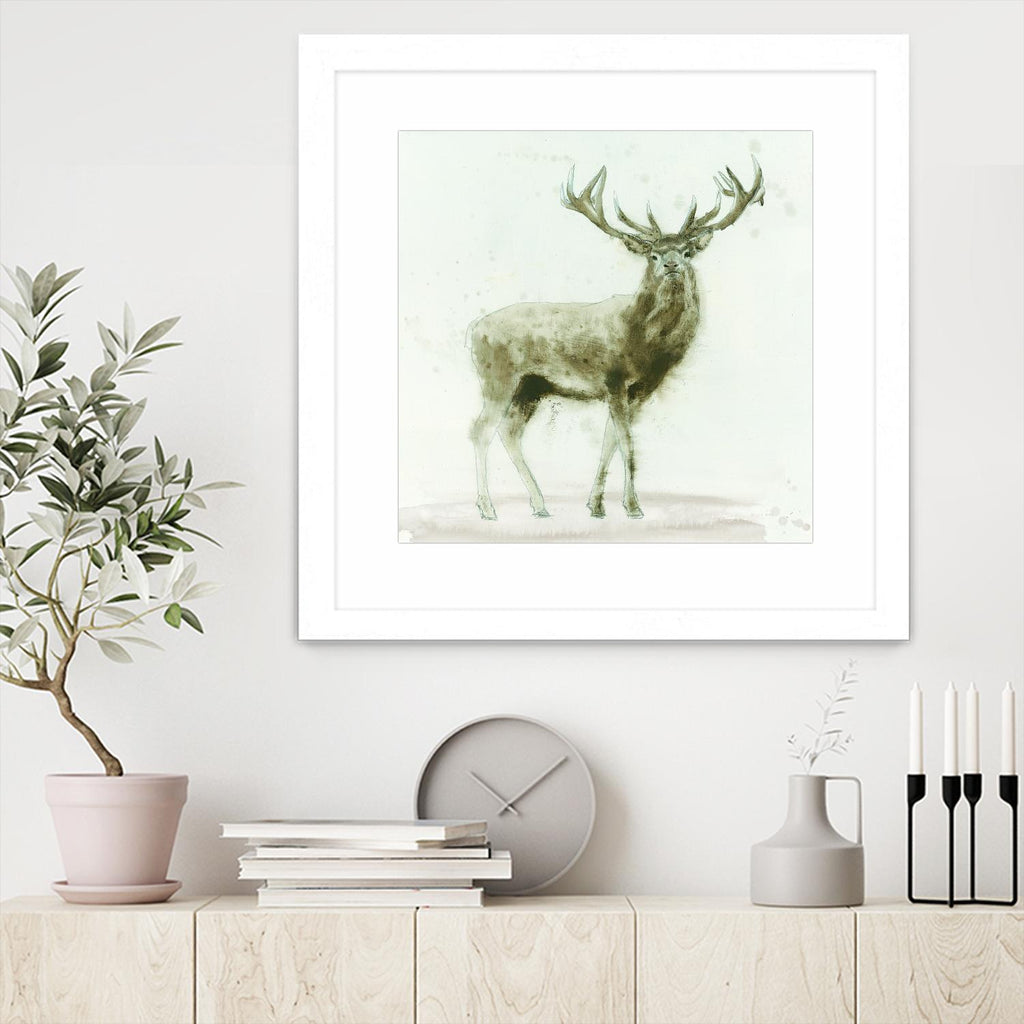 Stag 2 by James Wiens on GIANT ART - brown animals