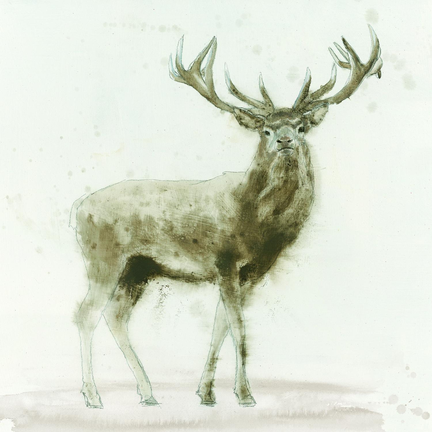 Stag 2 par James Wiens sur GIANT ART - animaux bruns