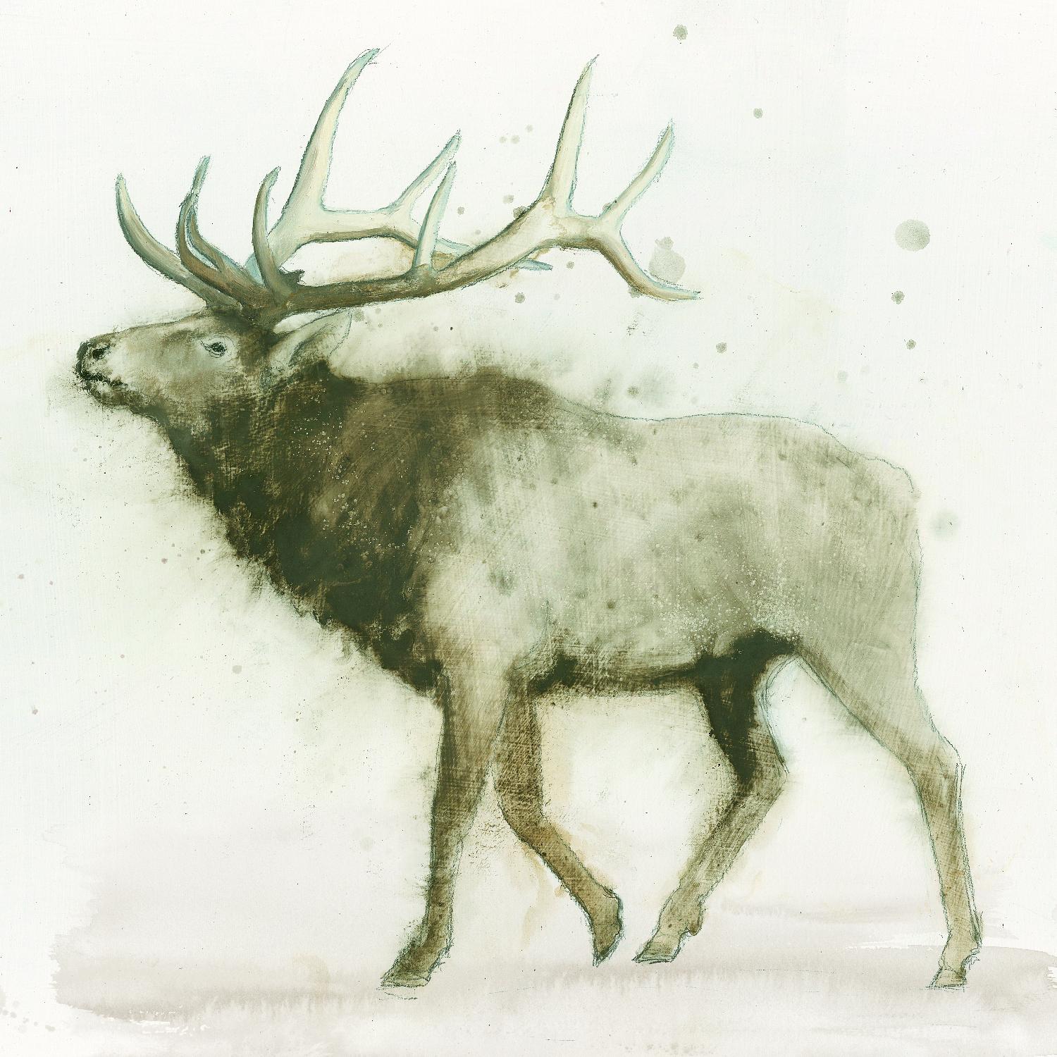 Elk 2 par James Wiens sur GIANT ART - animaux bruns