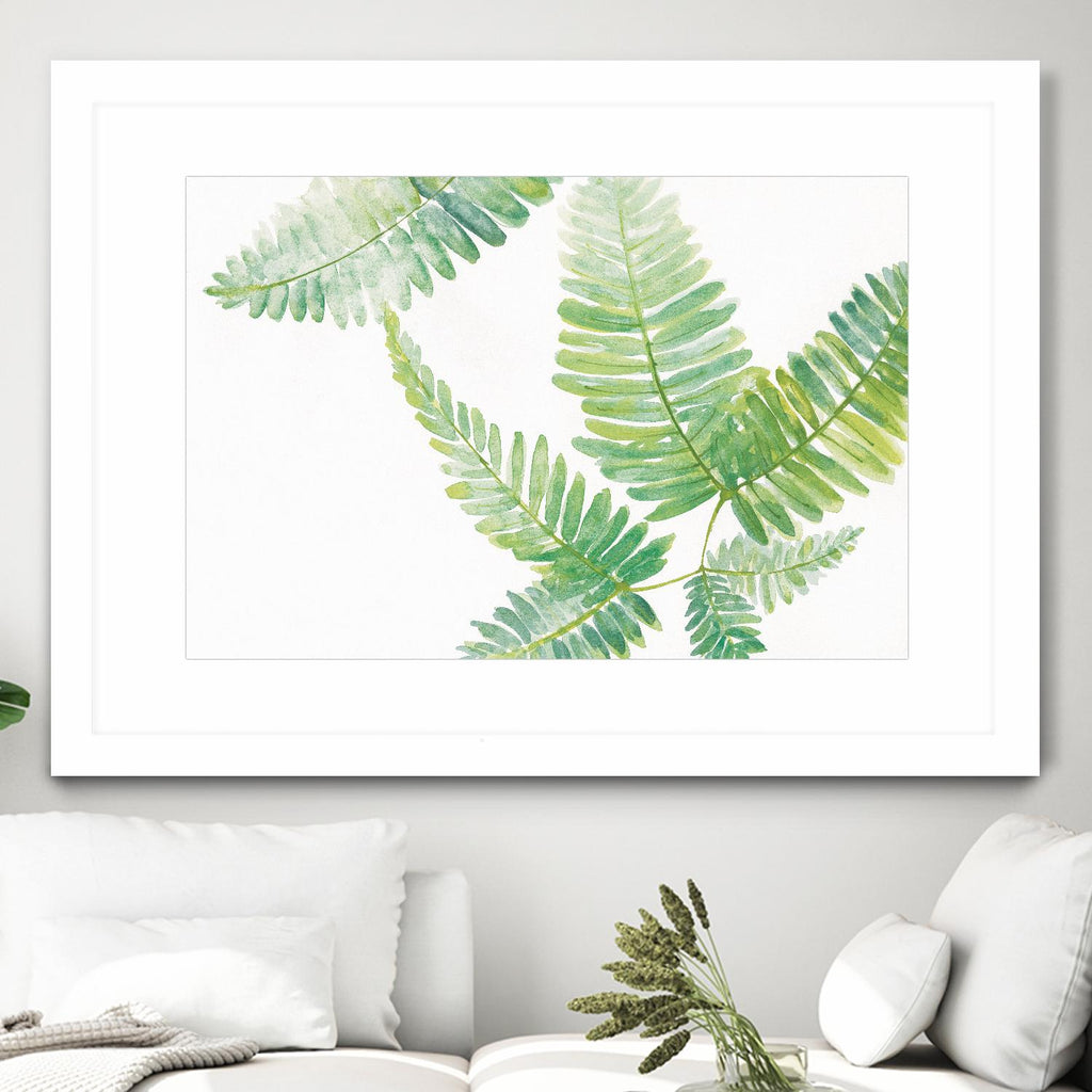 Ferns I by Chris Paschke on GIANT ART - green tropical