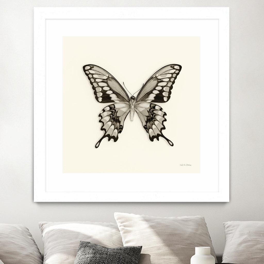 Butterfly VI BW Crop by Debra Van Swearingen on GIANT ART - beige animals