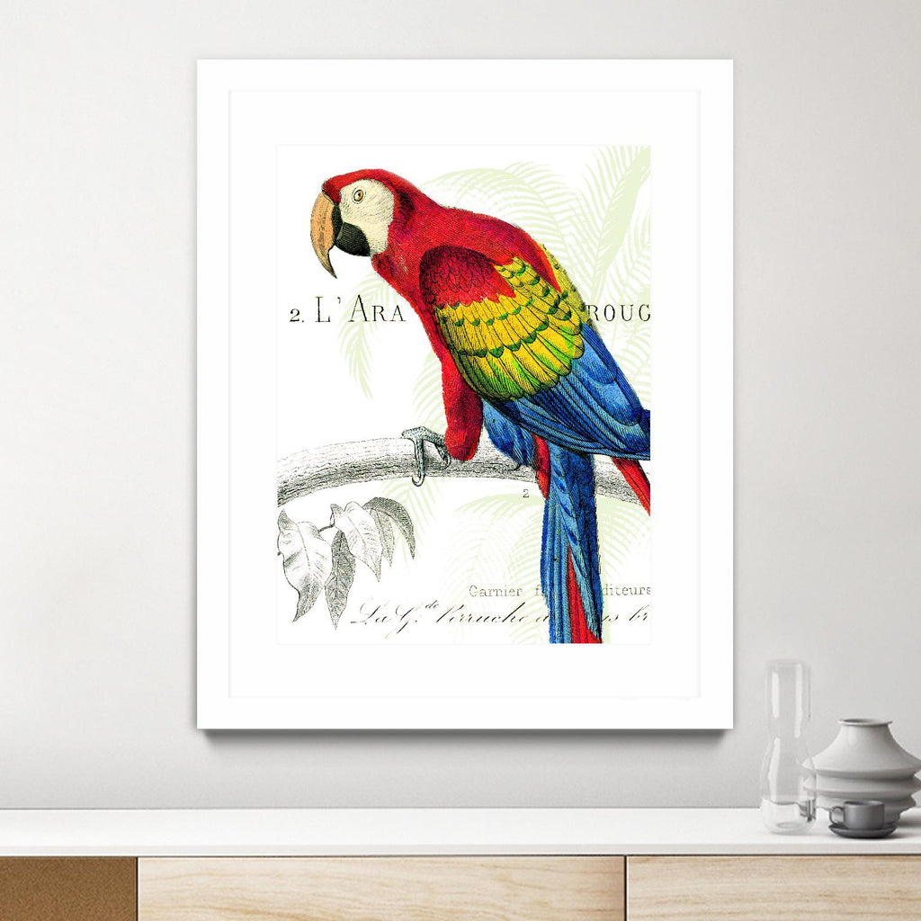 Parrot Botanique II by Portfolio on GIANT ART - red animal oiseau