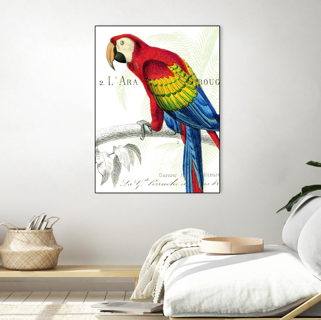 Parrot Botanique II by Portfolio on GIANT ART - blue tropical