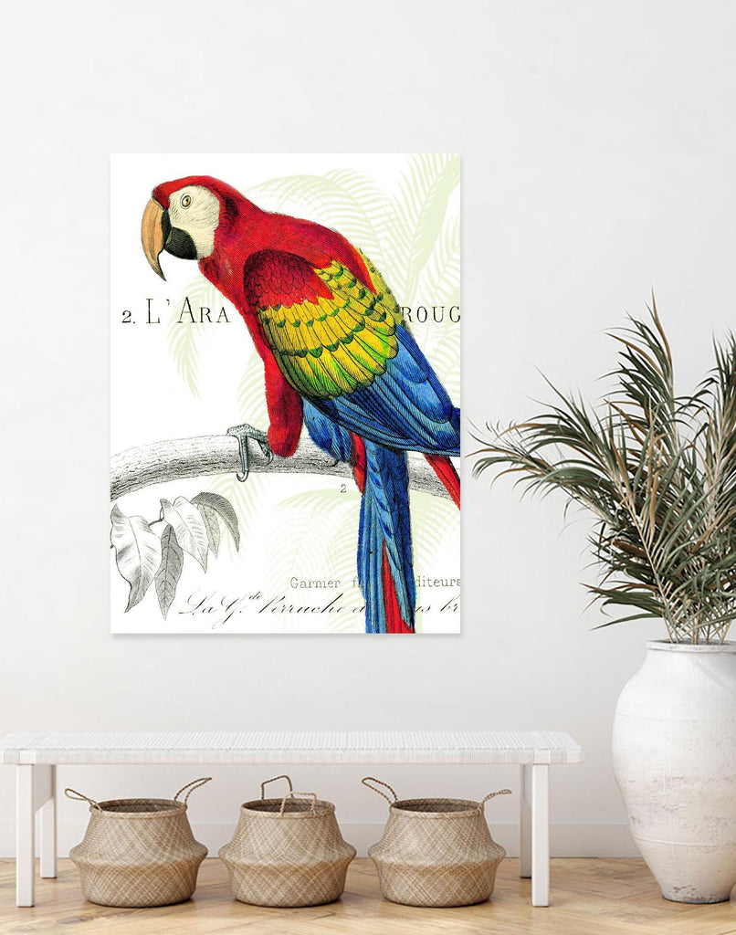 Parrot Botanique II by Portfolio on GIANT ART - red animal oiseau