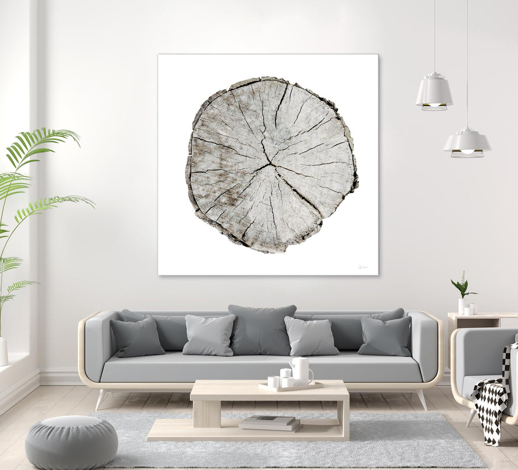 Woodland Years I on White by Sue Schlabach on GIANT ART - grey trees