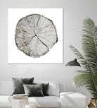 Woodland Years I on White by Sue Schlabach on GIANT ART - grey trees
