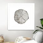 Woodland Years I on White by Sue Schlabach on GIANT ART - grey trees